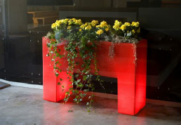 illuminated plant containers illuminated plant containers