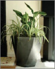 Metal style planter Metal style planter