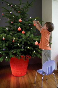 Illuminated Christmas tree pot Illuminated Christmas tree pot