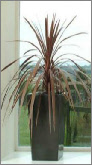 Tall tapered square plant container Tall tapered square plant container